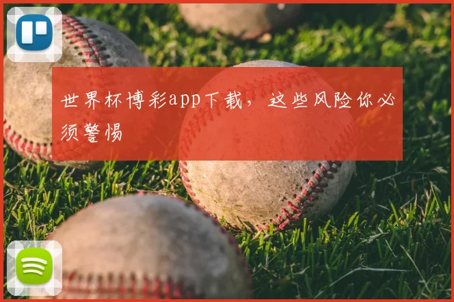世界杯博彩app下载，这些风险你必须警惕