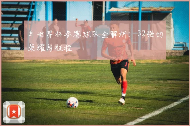 年世界杯参赛球队全解析：32强的荣耀与征程