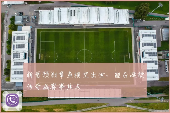 新晋预测章鱼横空出世，能否延续传奇成赛事焦点